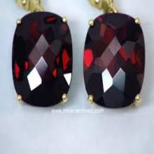 Garnet Cut Stone Silver earrings